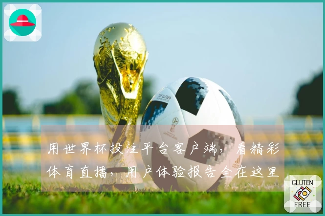 用世界杯投注平台客户端，看精彩体育直播，用户体验报告全在这里。