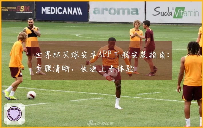 世界杯买球安卓APP下载安装指南：步骤清晰，快速上手体验