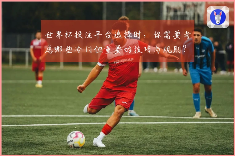 世界杯投注平台选择时,你需要考虑哪些冷门但重要的技巧与规则?