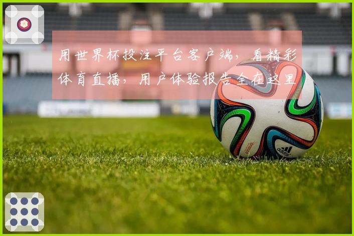 用世界杯投注平台客户端，看精彩体育直播，用户体验报告全在这里。