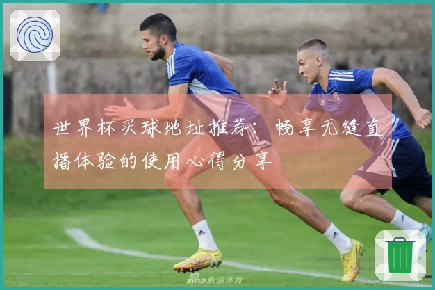 世界杯买球地址推荐：畅享无缝直播体验的使用心得分享