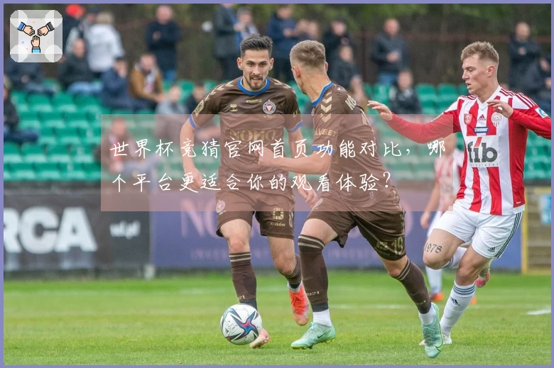 世界杯竞猜官网首页功能对比，哪个平台更适合你的观看体验？