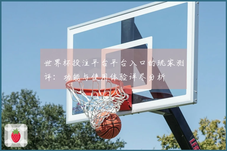 世界杯投注平台平台入口的玩家测评:功能与使用体验详尽分析