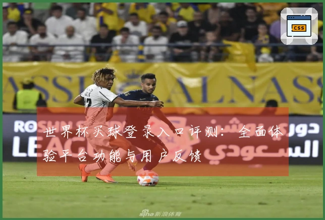 世界杯买球登录入口评测：全面体验平台功能与用户反馈