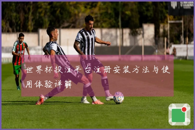 世界杯投注平台注册安装方法与使用体验详解