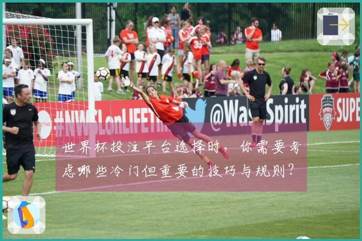 世界杯投注平台选择时，你需要考虑哪些冷门但重要的技巧与规则？