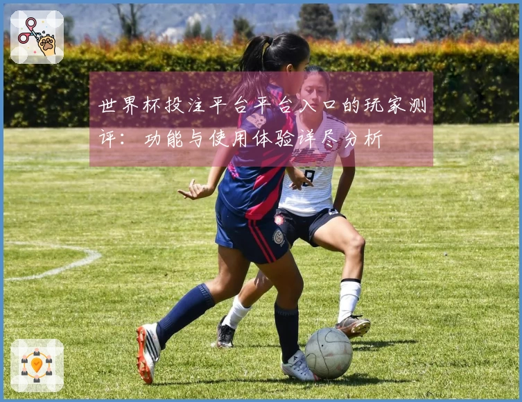 世界杯投注平台平台入口的玩家测评：功能与使用体验详尽分析