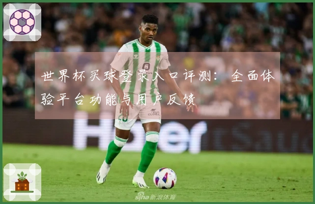 世界杯买球登录入口评测：全面体验平台功能与用户反馈
