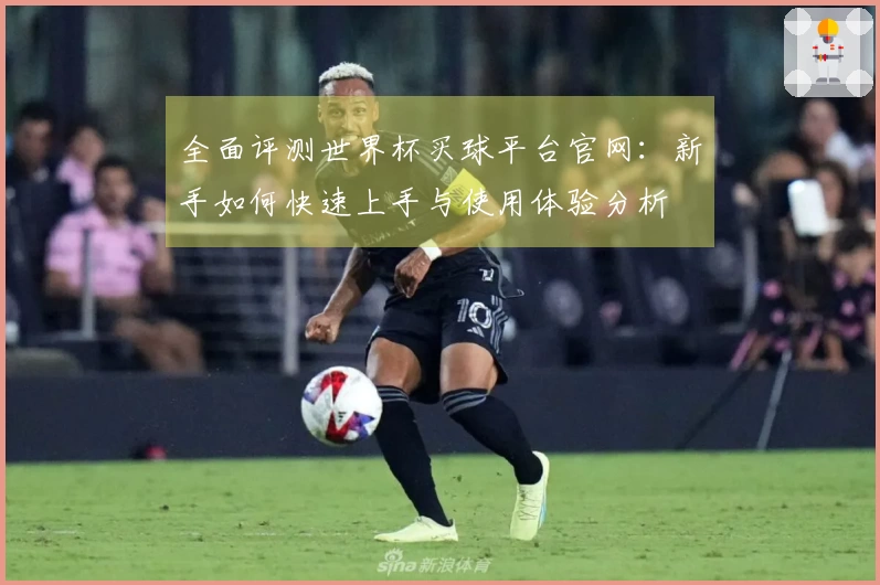 全面评测世界杯买球平台官网：新手如何快速上手与使用体验分析