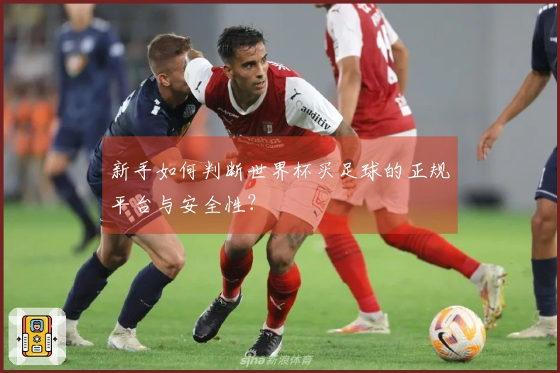 新手如何判断世界杯买足球的正规平台与安全性?
