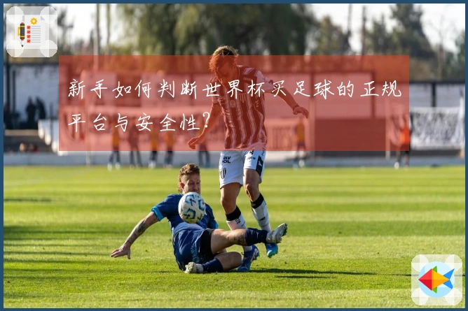新手如何判断世界杯买足球的正规平台与安全性？